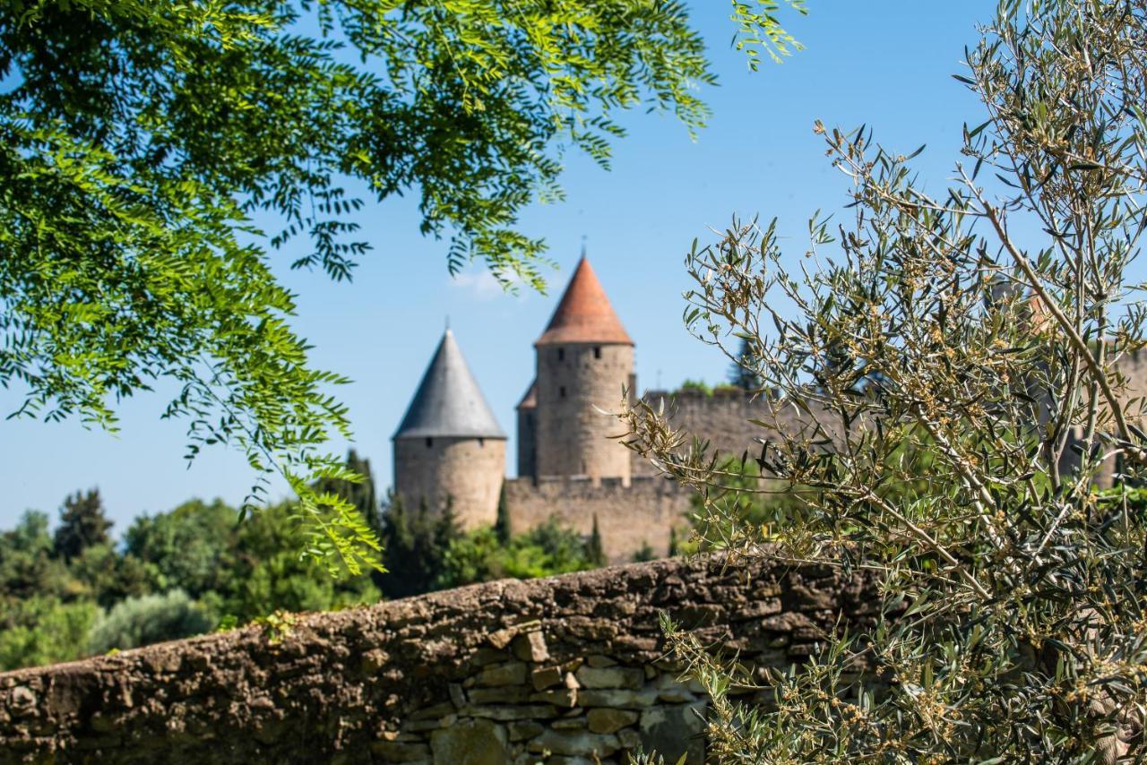 L'Ecrin De La Cite, Coeur De Vignes - Vivez Une Experience Inoubliable ! Carcassone Kültér fotó